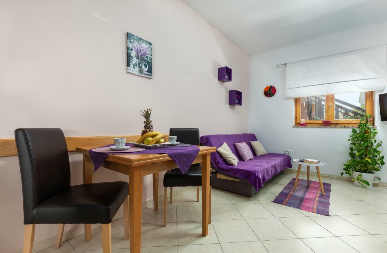 Sunny Apartment Valbandon ฟาชานา ภายนอก รูปภาพ
